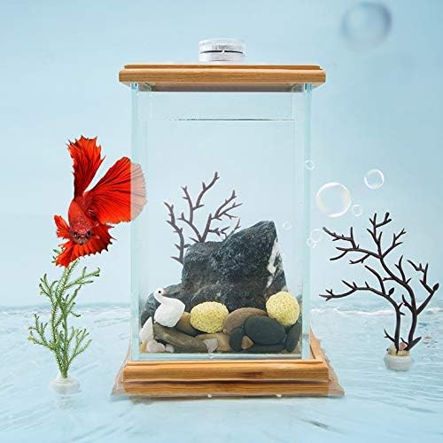 Stakleni mini stolni akvarij za ribe u dnevnoj sobi mali radni stol Kreativni lijeni ekološki krajolik malog akvarija