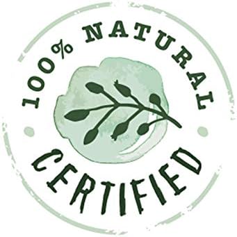 Najbolje vetiver esencijalno ulje čisto certificirano organsko terapijsko razred 10ml