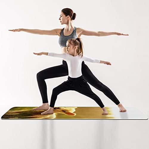 Sve namjena Yoga Mat Exect & Workice Mat za jogu, Dan sjećanja u SAD -u