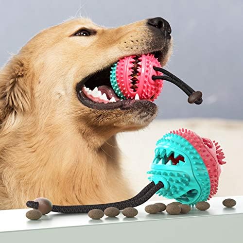 Igračke za pse rayaza lopte žvače igračke za štene male velike pseće zube čišćenje/žvakanje/igranje/liječenje dissinsing psa IQ igračke