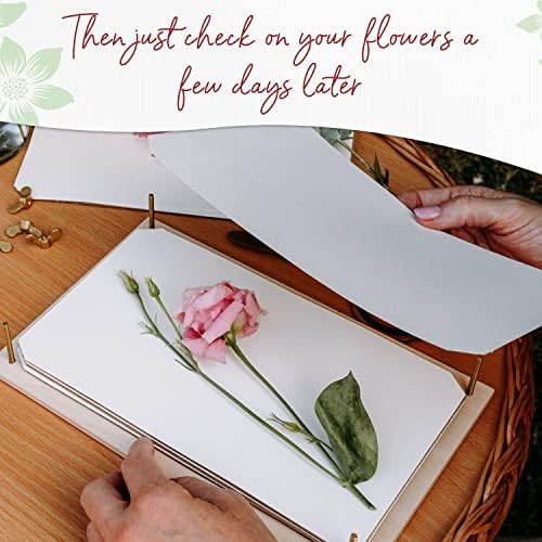 Papir za upijanje cvijeća od 5. razreda * veliki papir za ispis cvijeća veličine A4 * visoko upijajući i višekratni Herbarijski papir