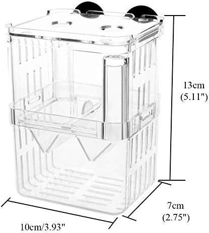 Akrilna kutija za uzgoj akvarijskih riba bumber pričvršćena je na stražnju stranu, izolacijske kutije za mrijestilište za hranjenje