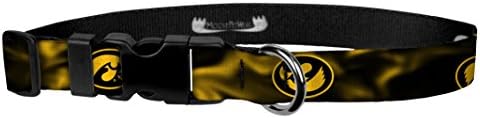 Moose Pet Wear Racing Dog Collar - University of Iowa Hawkeyes Podesivi ogrlice za kućne ljubimce, napravljene u SAD -u - 3/4 široke,
