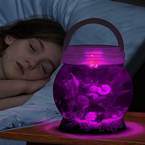 La Ken Du, Mali Betta Tetra Ribske ukrase za ribe set-izlaz s 20 boja LED rasvjete, riblji noćni akvarij za djecu, 0,5 galona, ​​prozirni