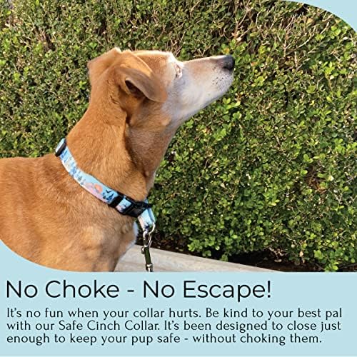 Escape Proof Sigur Cinch Dog ovratnik neustrašivog kućnog ljubimca najsigurniji bez prigušivanja, patentirani svakodnevni ovratnik