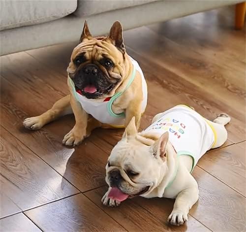 Pse ljetna odjeća štene slatka košulja sretna svaki dan dugin tiskani psi prsluk francuski buldog tenk vrhovi francuski pug engleski