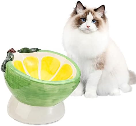 Nagnuta podignuta zdjela za mačju hranu-podignuta zdjela za mačke protiv povraćanja-plitka široka keramička zdjela za mačke protiv