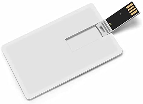 Medvjed brathotstvo ponos zastava USB pogon kreditne kartice USB flash pogon u disk palcu 64g