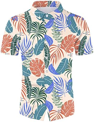 2 komada staze odjeće za muškarce plus veličine cvjetne havajske košulje i kratki setovi modni blagdanski mišićni majica odijela