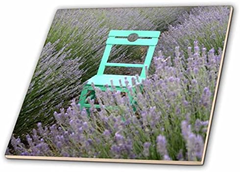 3. Zelena fotelja u polju lavande fotografija-pločice