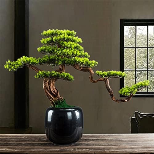 Dobrodošli borovi bonsai kućna biljka u Saksiji zelena biljka bonsai za dnevni boravak unutarnji ukras