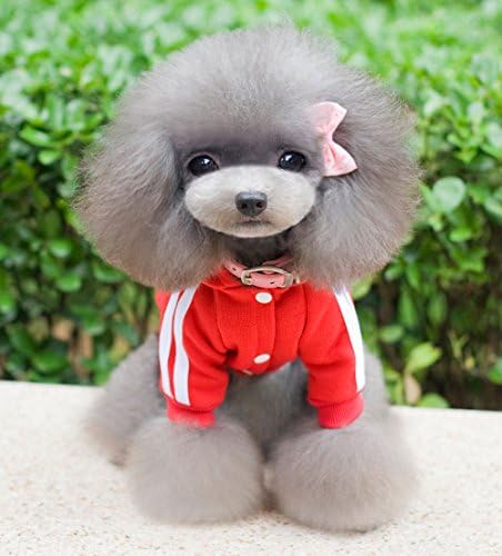 _ _ _ _ _ Panda topla majica s kapuljačom od flisa za malog psa, sportska košulja, odijelo za jaknu, crvena