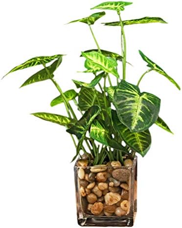 Vicasky ukrasi 1pc Umjetna biljka Plastična zelena biljka Bonsai Dekor Dekor za dekor za kućni ured za kućni ured