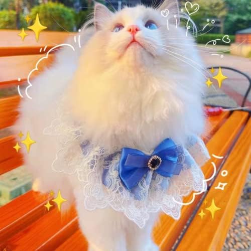 Aspen Global Dog Cat Collar Ruffle štene mačiće šal, ogrlica romantična čipkasta remen s sjajnom vrpcom Umjetni biser za kućne ljubimce