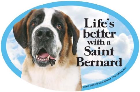 Ovalni magnet za pse Bench St. Bernard za Automobile